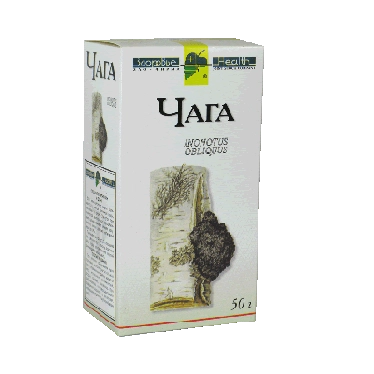 Березовый гриб чага