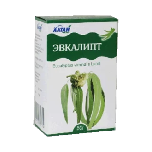 Eucalyptus Leaves