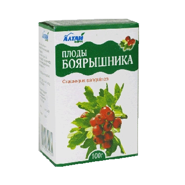 Hawthorn Berries / Crataegus sanguinea
