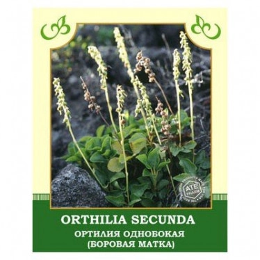 Ортилия однобокая (Боровая матка) 25g