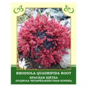 Красная щетка