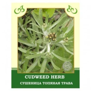 Cudweed Herb 35g